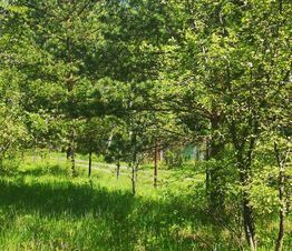 Продается дом, 40 м2, СНТ Ветеран, СНТ Ветеран, 40