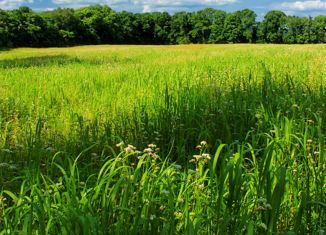Продается участок, 203 сот., деревня Хурынлых, Лесная улица, 35