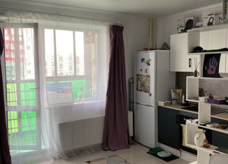 Продам квартиру студию, 24.3 м2, микрорайон Вишнёвая Горка, улица Вишнёвая Аллея, 2