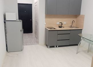 Сдача в аренду квартиры студии, 25 м2, посёлок Шушары, Окуловская улица, 18