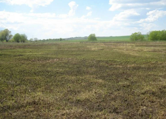 Продам участок, 15 сот., деревня Жашково