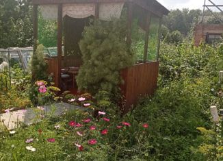 Продам дом, 22 м2, СНТ Лесной