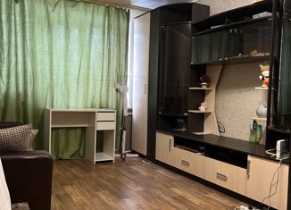 Продается однокомнатная квартира, 29.2 м2, Щёкино, улица Мира, 11