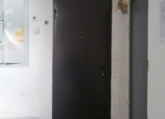 1-комнатная квартира на продажу, 30.1 м2, Чусовой, улица 50 лет ВЛКСМ, 23А