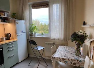 Продажа двухкомнатной квартиры, 50 м2, Москва, Новогиреевская улица, 31/45, метро Перово