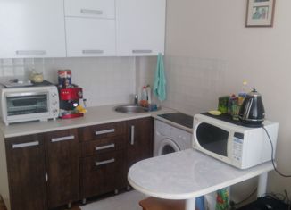 Продается квартира студия, 17 м2, Кемерово, Ногинская улица, 10, Рудничный район