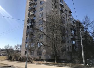 Продаю двухкомнатную квартиру, 53.4 м2, Санкт-Петербург, проспект Ветеранов, 147к2, муниципальный округ Сосновая Поляна