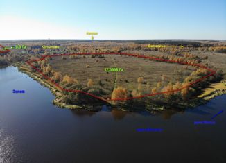 Продажа земельного участка, 2149.98 сот., деревня Копылово