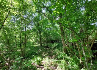 Продается участок, 6.2 сот., садовые участки Лесник, садовые участки Лесник, 8