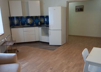 Продам 1-ком. квартиру, 49.5 м2, Санкт-Петербург, улица Турку, 13к1, улица Турку