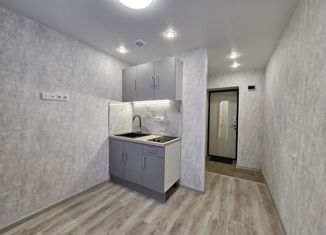 Продаю квартиру студию, 11.4 м2, Пермь, Народовольческая улица, 46, Свердловский район