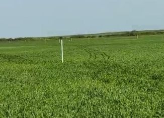 Продам участок, 6 сот., село Каменское