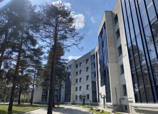 2-ком. квартира на продажу, 59.66 м2, посёлок Красный Бор, улица Энергетиков, 10