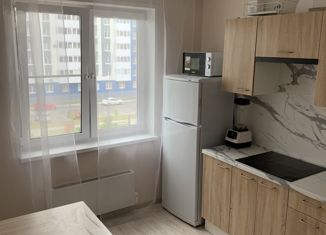 Сдается 2-ком. квартира, 50 м2, Нижний Новгород, улица Бориса Видяева, 18, Автозаводский район