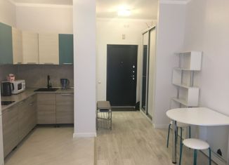 Сдается в аренду квартира студия, 26 м2, Санкт-Петербург, улица Дыбенко, 8к3, улица Дыбенко