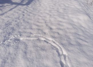 Продаю участок, 10 сот., садовое товарищество Славянка, садоводческое некоммерческое товарищество Парус, 2