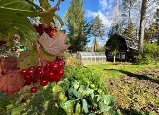 Продажа дома, 59 м2, СНТ Алюминщик