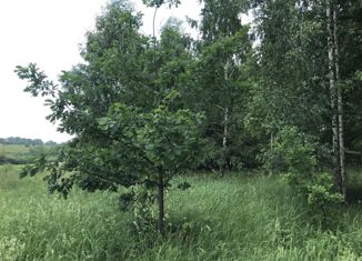 Земельный участок на продажу, 20 сот., деревня Малые Озерки