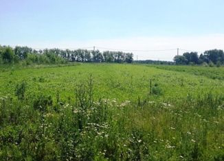 Земельный участок на продажу, 40 сот., деревня Борисово