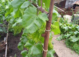 Продам дом, 80.6 м2, СНТ Виктория, СНТ Виктория, 58