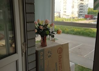 Продам 1-комнатную квартиру, 26 м2, посёлок Петровский, улица Лётчика Пирожкова, 6