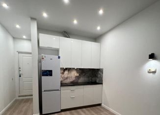 Сдаю в аренду квартиру студию, 26 м2, Москва, улица Рогожский Вал, 17, Таганский район