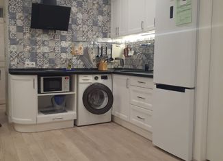 Продажа квартиры студии, 27.8 м2, Мурино, проспект Авиаторов Балтики, 13, ЖК Охтинская Дуга