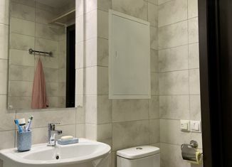 Продажа однокомнатной квартиры, 27 м2, сельский посёлок Ситники, Центральная улица, 26