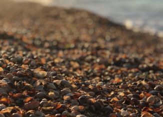 Продам участок, 10 сот., село Каменское