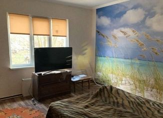 Продажа 1-комнатной квартиры, 35 м2, село Кыштовка, улица Ковтуна, 40