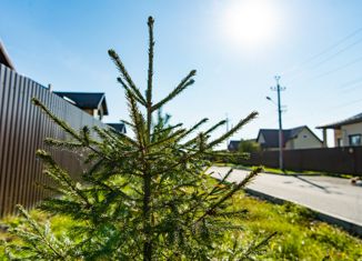 Продаю участок, 13.2 сот., село Новоалексеевское, улица Будённого