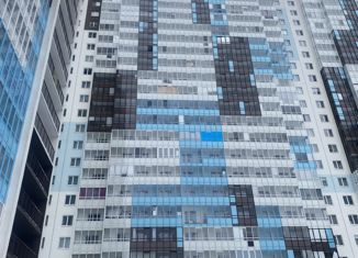 Продаю квартиру студию, 24.4 м2, Санкт-Петербург, Плесецкая улица, 20к1, ЖК Чистое Небо