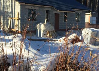 Продается дом, 110 м2, село Черданцево, Мирный переулок, 22