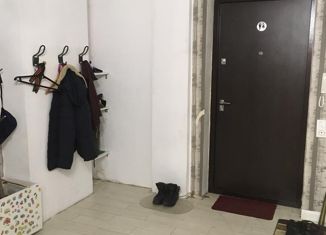 Продается двухкомнатная квартира, 66 м2, Омск, Пригородная улица, 23, ЖК На Андрианова
