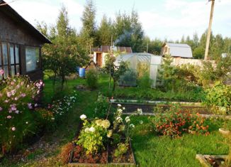 Дом на продажу, 20 м2, садовое товарищество Строитель-2, садовое товарищество Строитель-2, 45