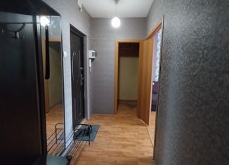 Сдается в аренду 1-комнатная квартира, 41 м2, Челябинская область, улица Зальцмана, 46