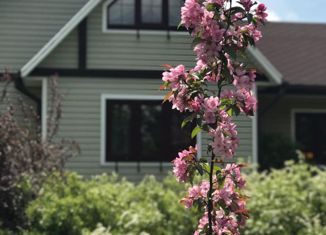 Дом на продажу, 70.8 м2, деревня Григорово, Центральная улица