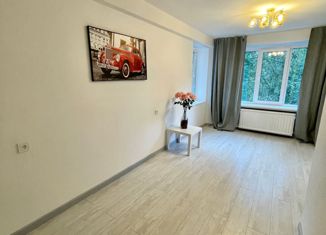 1-ком. квартира на продажу, 30.6 м2, Санкт-Петербург, проспект Художников, 19к1, метро Проспект Просвещения