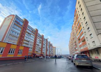 Продается 3-комнатная квартира, 140.4 м2, деревня Новосельцы, Юбилейная улица, 11