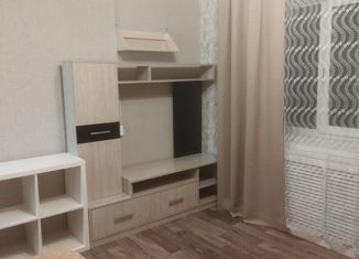 Продажа квартиры студии, 24 м2, Новосибирск, Первомайская улица, 200, Первомайский район