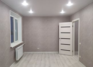 Продам 1-ком. квартиру, 30.8 м2, Петропавловск-Камчатский, улица Виталия Кручины, 10/6, микрорайон Северо-Восток