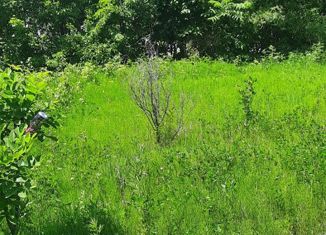 Участок на продажу, 20 сот., село Осиновая Речка, Новая улица, 5А