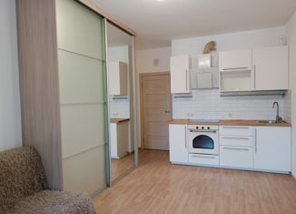 Продается квартира студия, 25.4 м2, Мурино, Воронцовский бульвар, 12, ЖК Гринландия