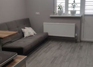 Продажа квартиры студии, 28 м2, Краснодар, Заполярная улица, 45, микрорайон Славянский