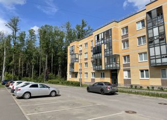Продается 1-комнатная квартира, 33 м2, Санкт-Петербург, Гладышевский проспект, 37к1, муниципальный округ Лахта-Ольгино