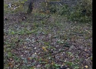 Продаю участок, 4 сот., СНТ Рябинушка