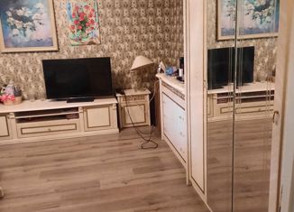 Продаю однокомнатную квартиру, 44 м2, Санкт-Петербург, метро Комендантский проспект, Камышовая улица, 6к4