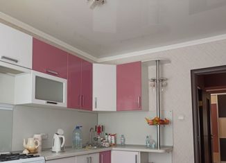 Сдается однокомнатная квартира, 40 м2, Ставрополь, улица 50 лет ВЛКСМ, 79, микрорайон №31