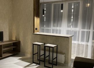 Аренда квартиры студии, 30 м2, Краснодар, Конгрессная улица, 31, микрорайон Достояние