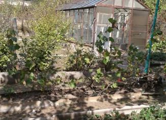 Дом на продажу, 38 м2, садоводческое некоммерческое товарищество Пионер, Виноградная улица